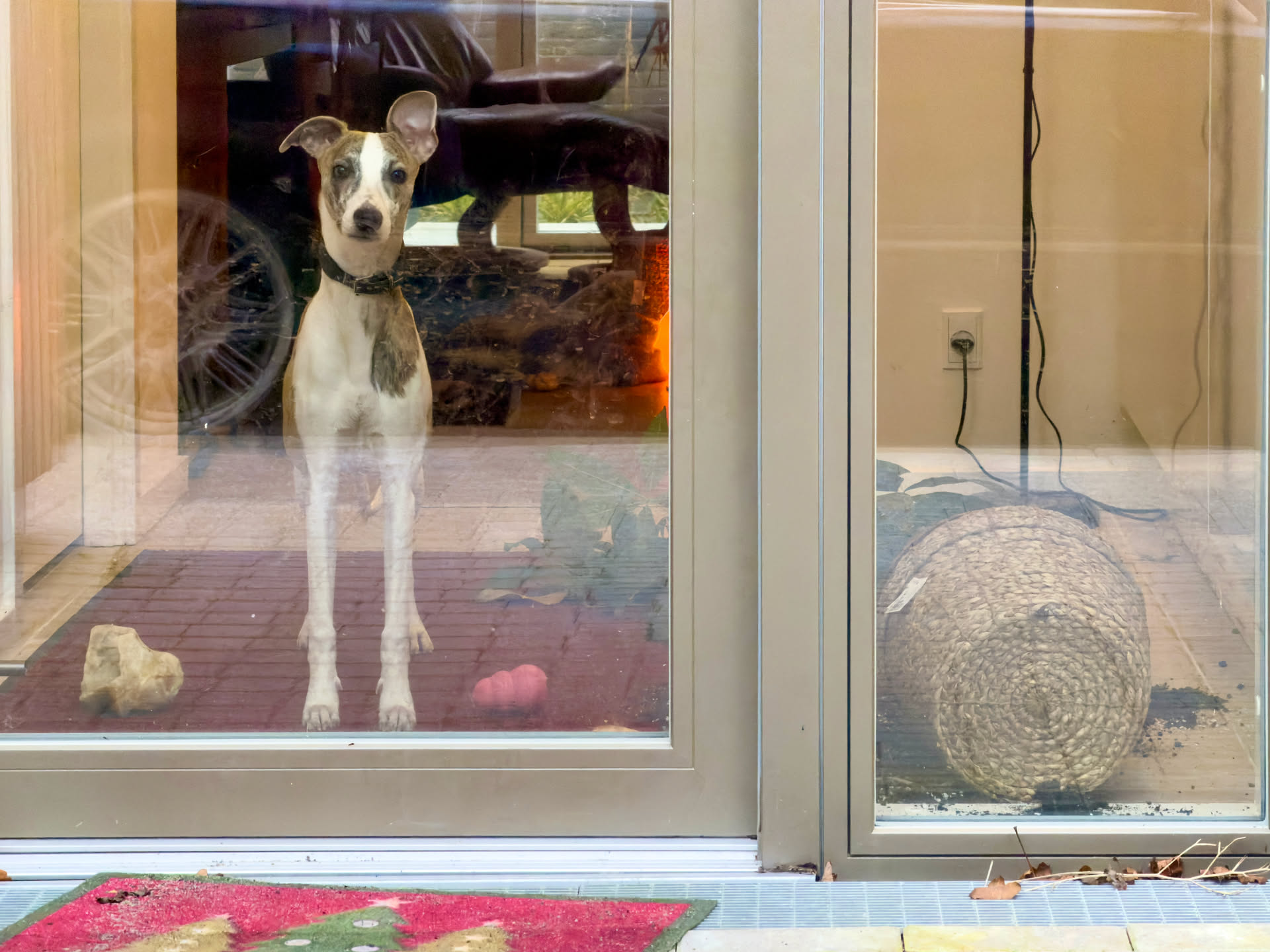 Disco i HYPERSPEED 🏎️💨